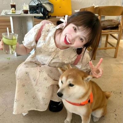 疯狂马迷